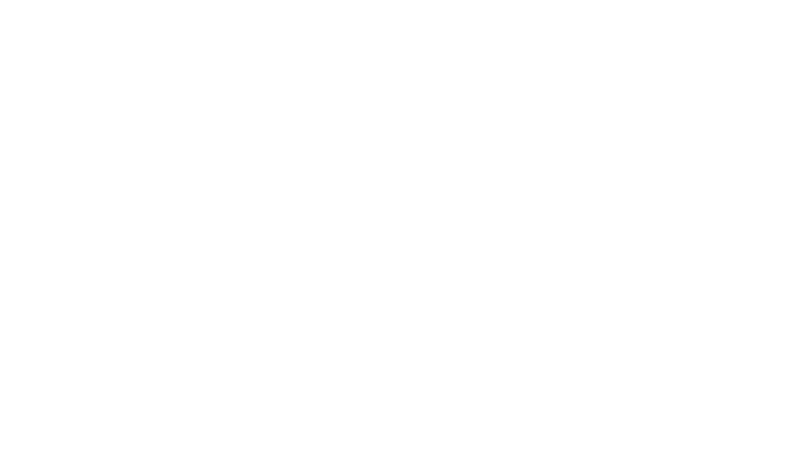 Ally Interest Checking logo